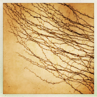 https://www.manuelabieri-projects.ch/files/gimgs/th-14_HipstamaticPhoto-539449932_280710-2.jpg