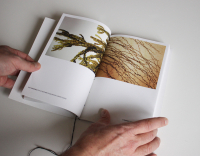https://www.manuelabieri-projects.ch/files/gimgs/th-17_libronatura-12.jpg