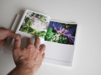 https://www.manuelabieri-projects.ch/files/gimgs/th-17_libronatura-6.jpg