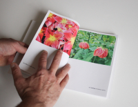 https://www.manuelabieri-projects.ch/files/gimgs/th-17_libronatura-8.jpg